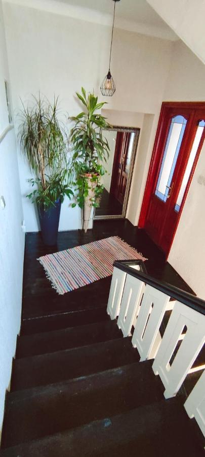 Villa Cvetić Selce Esterno foto
